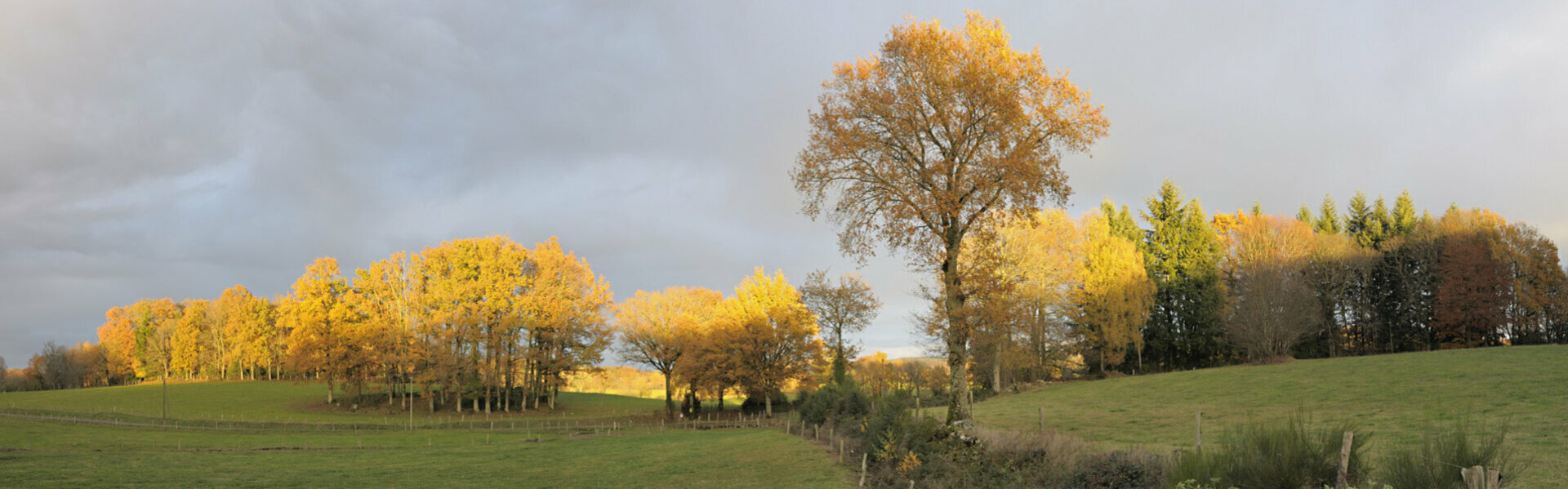 Bienvenue à Roumégoux dans le Cantal